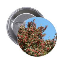 Árbol con las bayas rojas pin