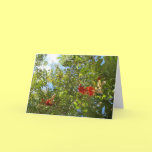Árbol con las flores rojas tarjetas