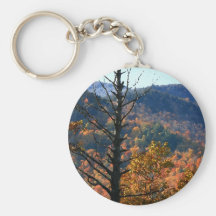 Árbol con las montañas - llavero del Adirondacks