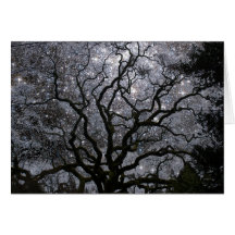 Árbol cósmico - cúmulo de estrellas tarjeta