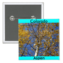 Árbol de Aspen que mira para arriba a través de la Pins