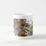 árbol de ciruelo de davidson en flor tazas