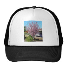 Árbol de ciruelo en flor con las flores lavendar gorros bordados
