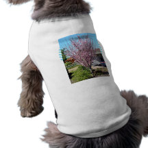 Árbol de ciruelo en flor con las flores lavendar prenda mascota