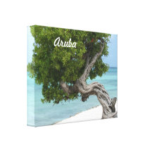 Árbol de Divi Divi en Aruba Impresiones En Lona Estiradas