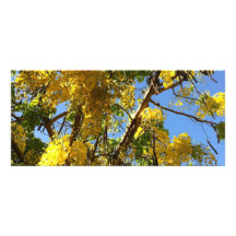 Árbol de ducha de oro diseño de tarjeta publicitaria