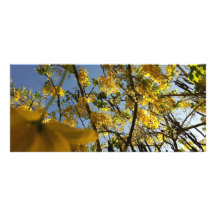 Árbol de ducha de oro tarjeta publicitaria