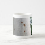 Árbol de eucalipto taza
