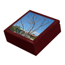 Árbol de hoja caduca con la sola hoja cajas de regalo