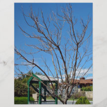 Árbol de hoja caduca con la sola hoja flyer a todo color