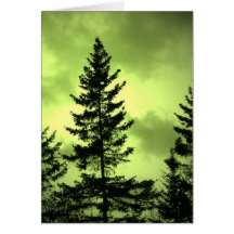 Árbol de hoja perenne tarjeta