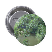 Árbol de la baya botones