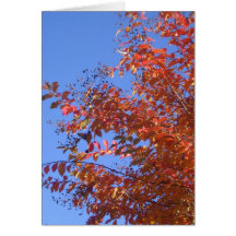 Árbol de la caída felicitación