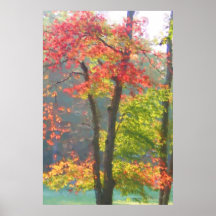 Árbol de la caída posters