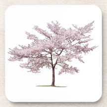 Árbol de la flor de cerezo posavaso