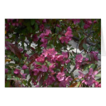 árbol de la flor tarjetas