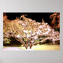 Árbol de la nieve posters