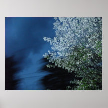 Árbol de la nieve posters