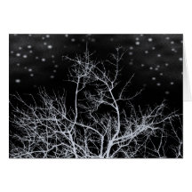 árbol de la noche del invierno y tarjeta silencios