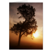 Árbol de la salida del sol felicitacion 