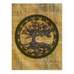 Árbol de la vida céltico [Yggdrasil] Postal