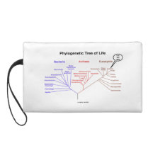 Árbol de la vida filogenético usted está aquí