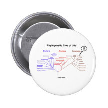Árbol de la vida filogenético - usted está aquí (l pin