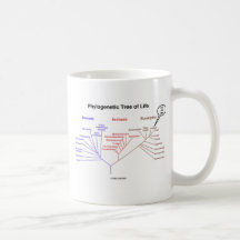 Árbol de la vida filogenético - usted está aquí (l tazas de café