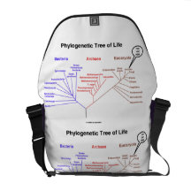 Árbol de la vida filogenético usted está aquí (la  bolsa de mensajería