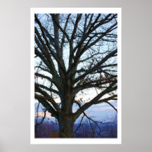 Árbol de la vida posters