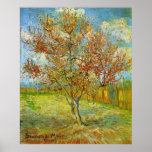 Árbol de melocotón rosado de Van Gogh en el flor,  Poster