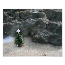 Árbol de navidad delante de Rocks.jpg Fotografias
