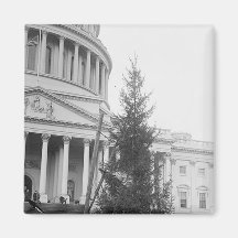 Árbol de navidad en el capital imán
