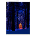 Árbol de navidad en luces tarjetas