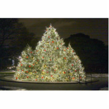 Árbol de navidad esculturas fotograficas