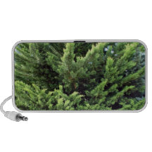 Árbol de pino espeso para el fondo altavoz