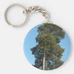Árbol de pino llavero