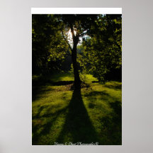 Árbol de sombra impresiones