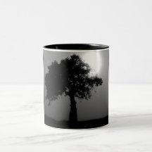 árbol del boab tazas