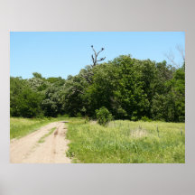 Árbol del buitre impresiones