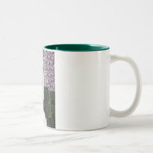 ÁRBOL DEL CRECIMIENTO TAZA