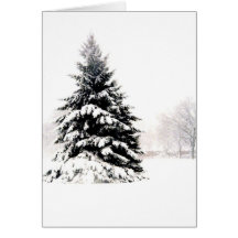 Árbol del invierno tarjetas
