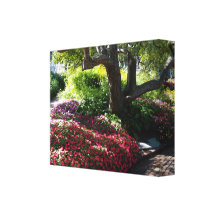 Árbol del jardín de Impatiens Lona Envuelta Para Galerías