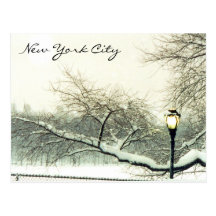 árbol del nyc de Central Park Postales