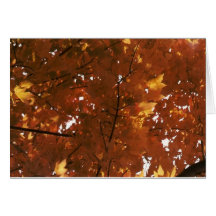 Árbol del otoño felicitación