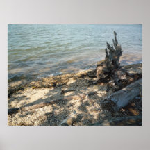 Árbol del río poster