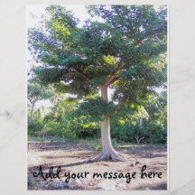 Árbol del Sabiduría-aviador Flyer Personalizado