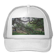 Árbol del Tendril en el Álamo, San Antonio, Tejas Gorra