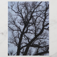 Árbol del vampiro tarjeta publicitaria