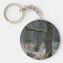 Árbol desnudo en un bosque llaveros personalizados